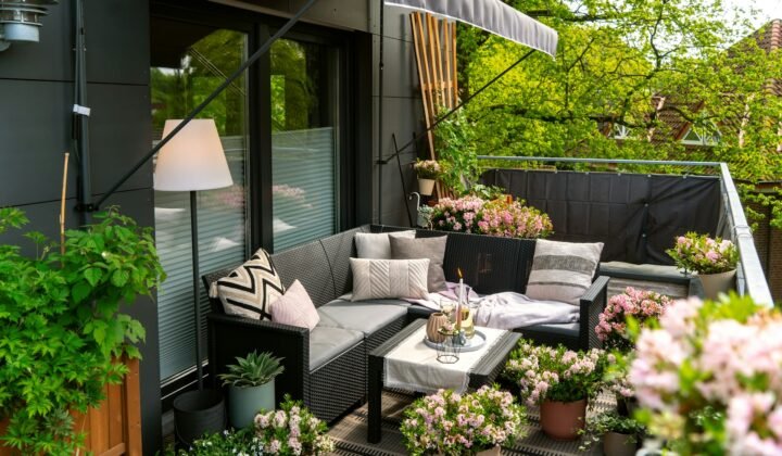 Balcony Gardening