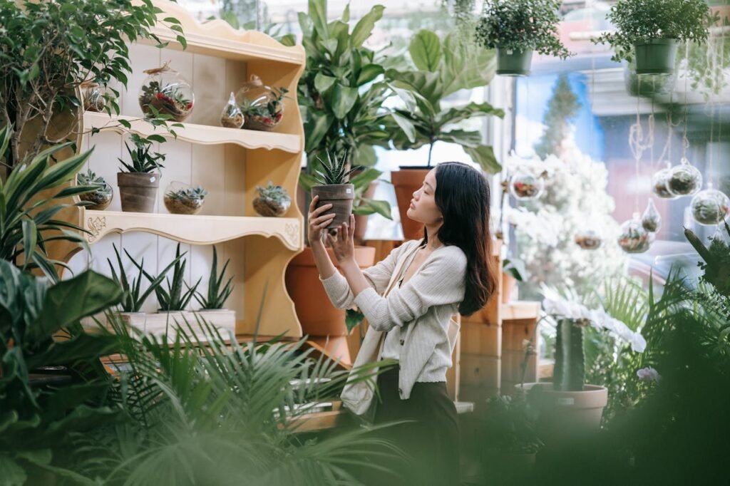 Feng Shui Plants