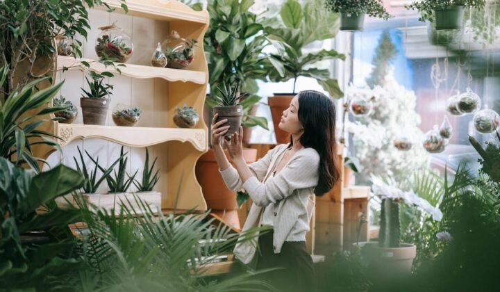 Feng Shui Plants