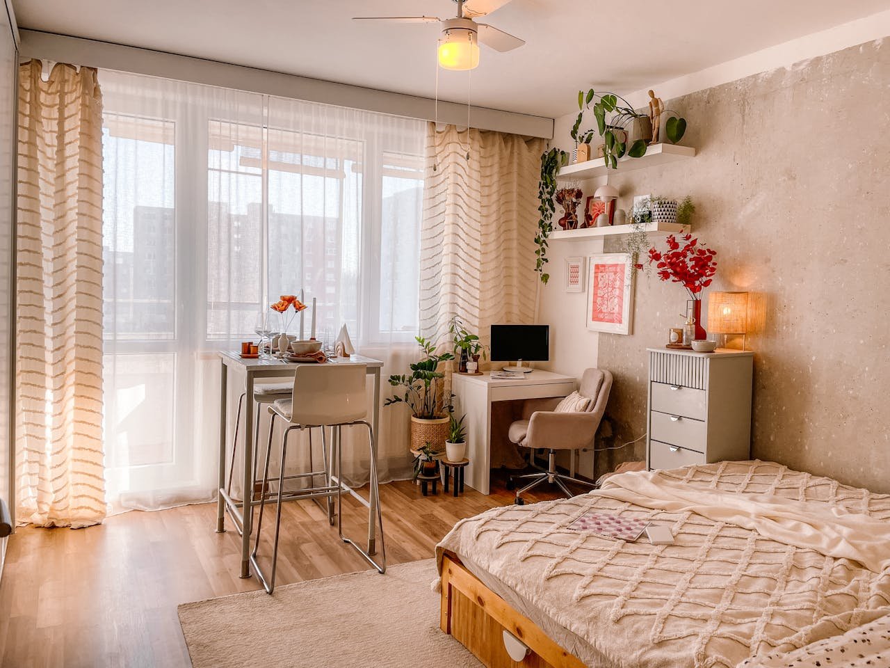 Money plant in a modern Indian apartment living room