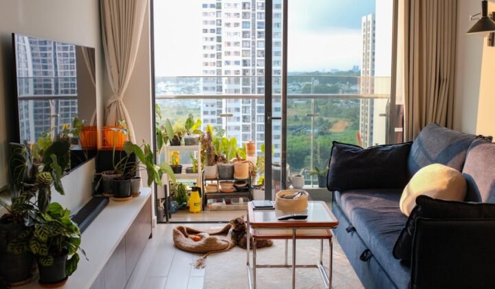 Pet-Friendly Apartment Design Ideas -2
