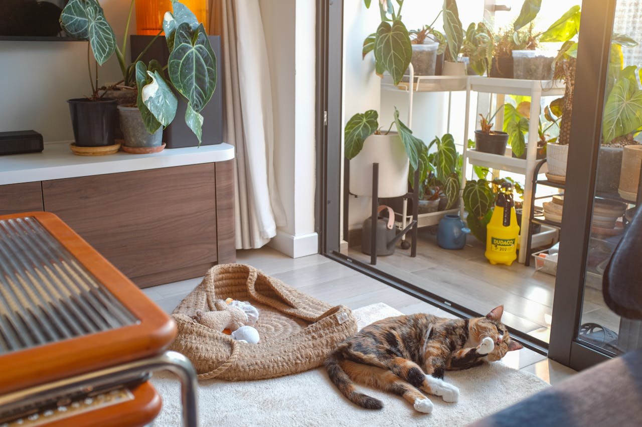 Pet-Friendly Apartment Design Ideas - 1