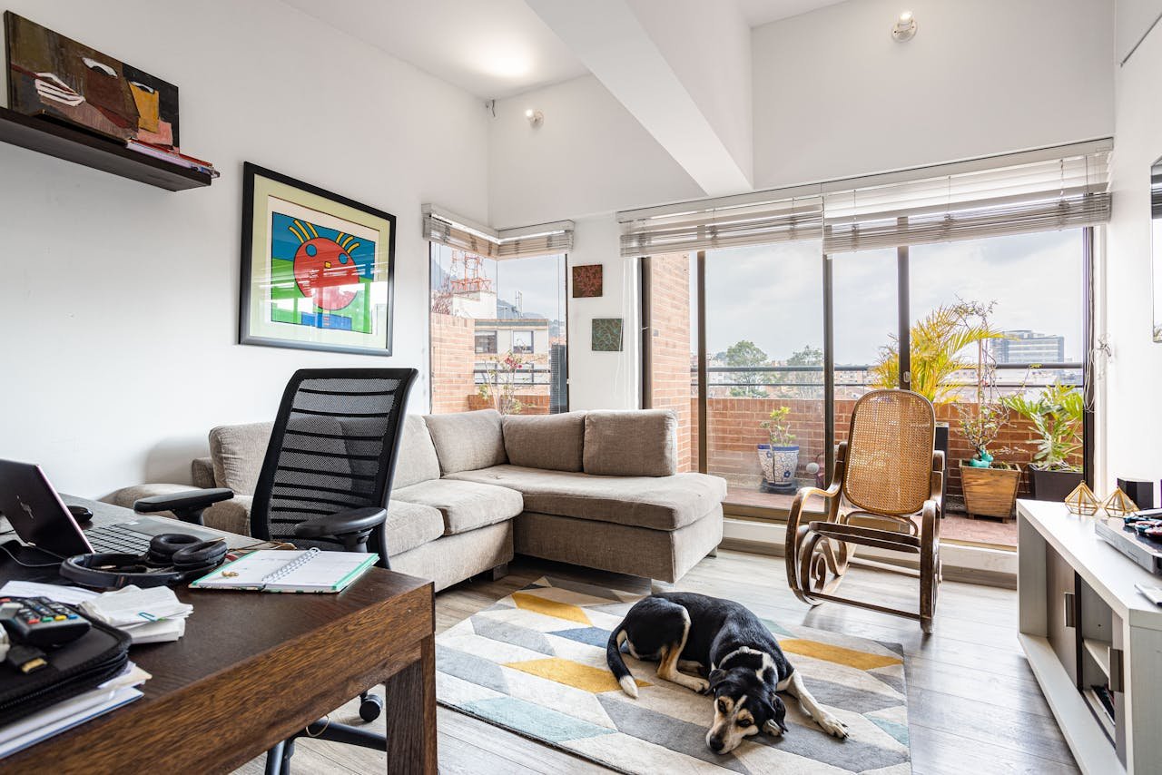 Pet-Friendly Apartment Design Ideas