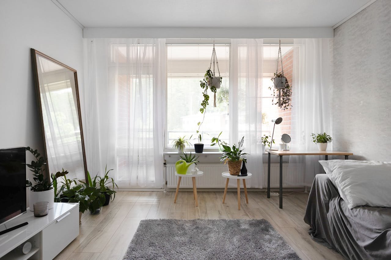 Small indoor plant setup in compact urban apartment